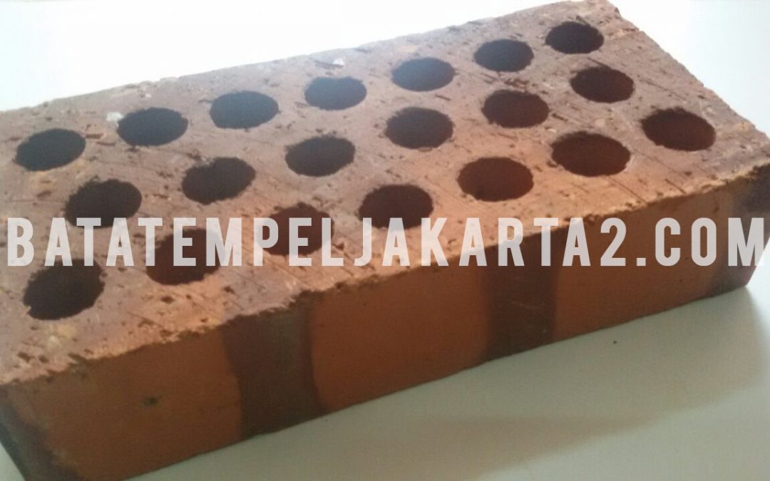 Bata Ekspose Hollowbrick BL-20